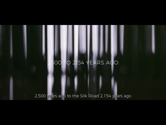 कंपनी का प्रचार