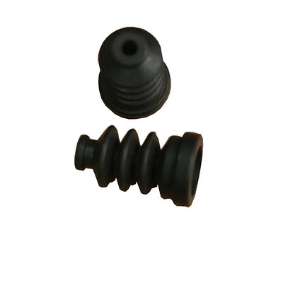 म्युलर के लिए फाल्टेनबाल्ग सील